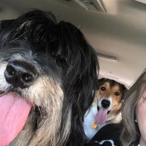 Meet your Posher, Terry